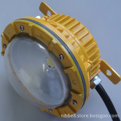 Explosion Proof Spotlight